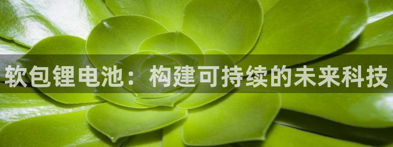 okpay虚拟币钱包下载