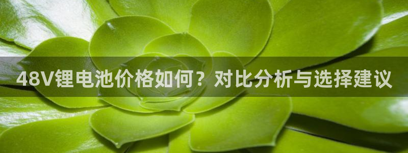 网赌虚拟币okpay钱包