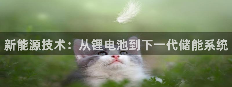 okpay钱包官网