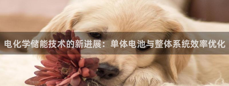 okpay钱包客服怎么联系