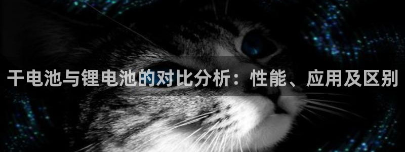 okpay钱包充值