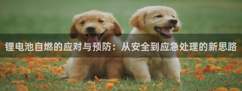 okpay钱包苹果