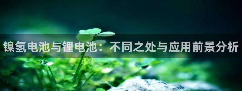 okpay钱包是啥
