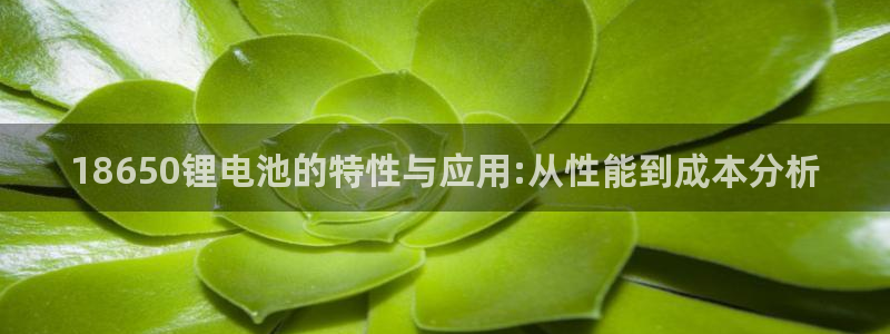 okpay钱包地址是什么