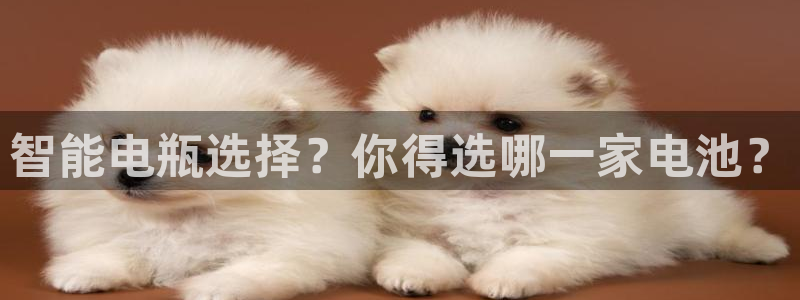 okpay钱包999