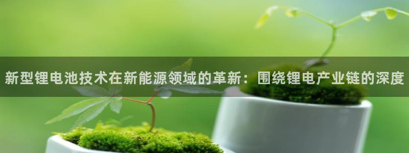 okpay钱包下载官网