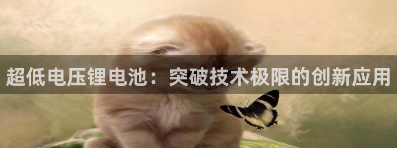 okpay是什么钱包