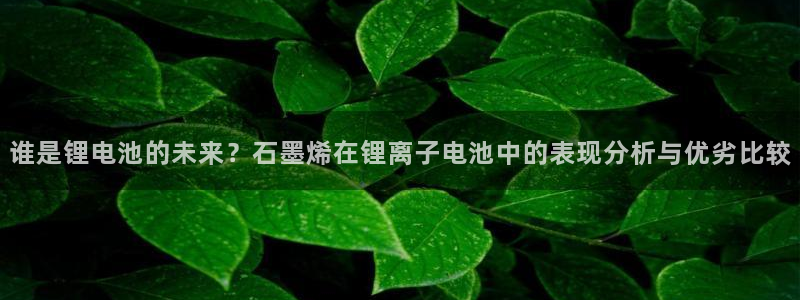 网赌虚拟币okpay钱包