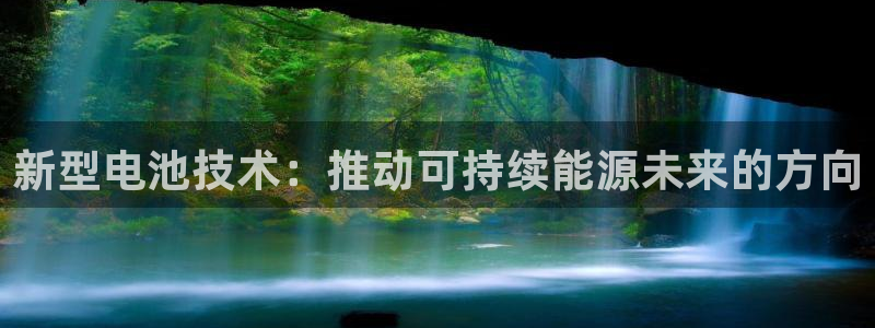 gopay及okpay钱包