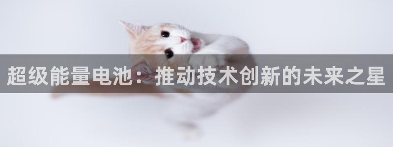 okpay支付钱包官网