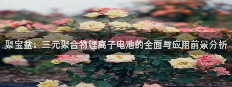 okpay钱包官网下载
