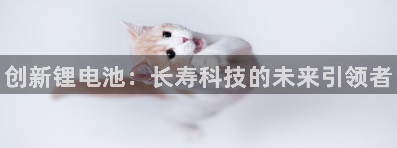 okpay钱包最新下载地址
