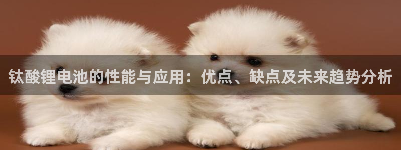 okpay钱包888