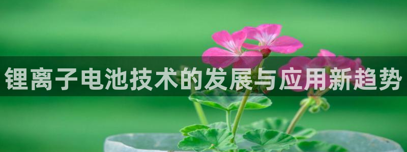 okpay钱包app下载官网2023