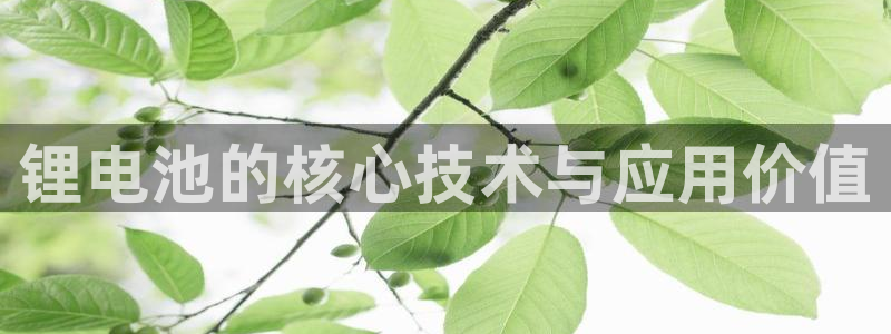 okpay钱包官网
