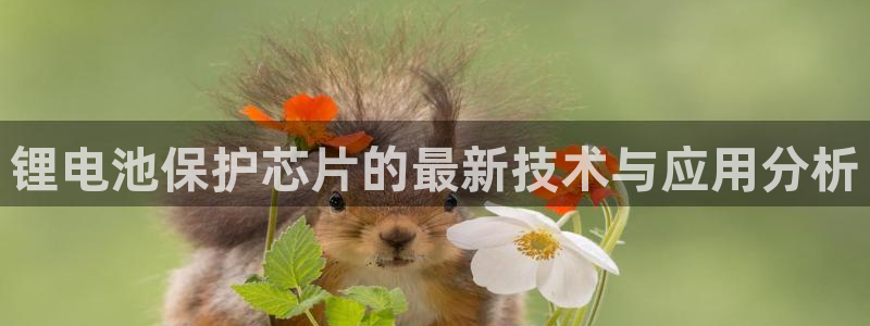 okpay钱包怎么充值