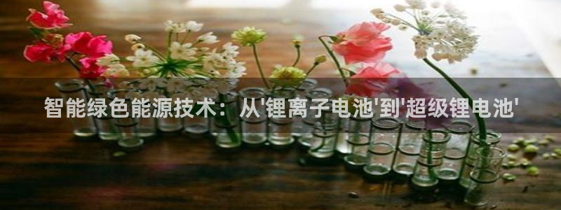 okpay是什么钱包