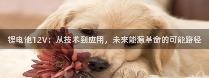 okpay钱包软件下载