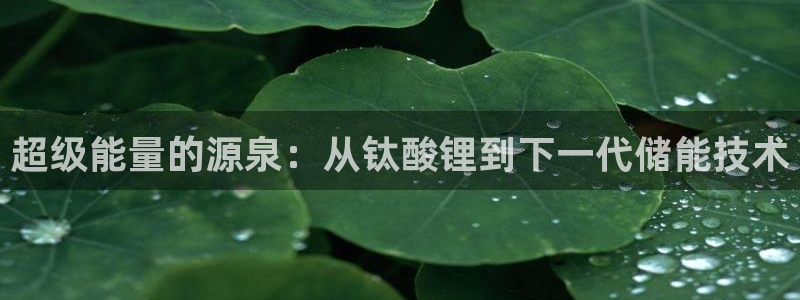 okpay钱包支付平台下载