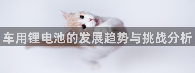 okpay钱包下载地址