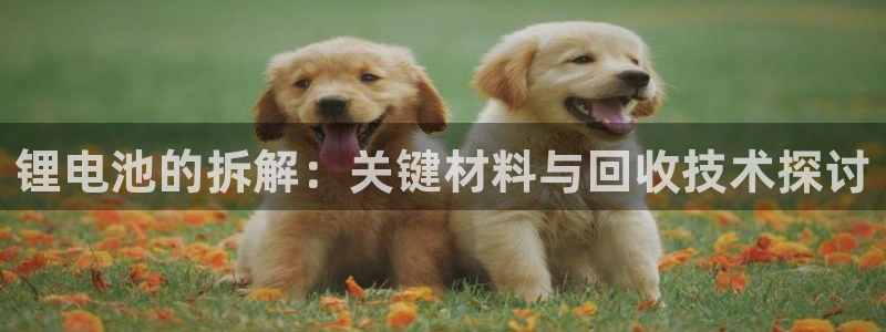 okpay钱包买币全过程