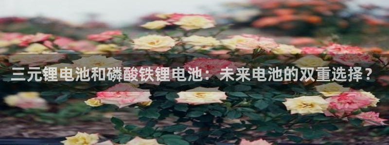 okpay钱包是什么
