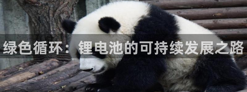 okpay777钱包