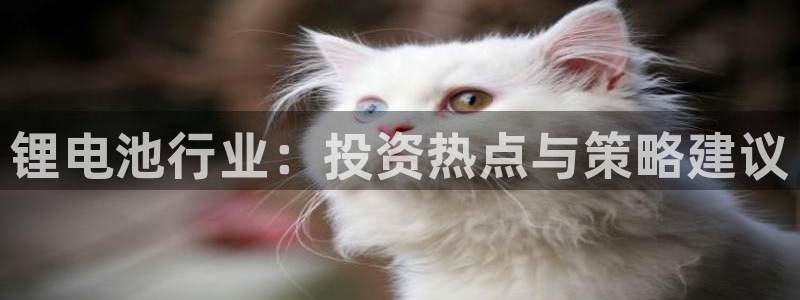okpay777钱包
