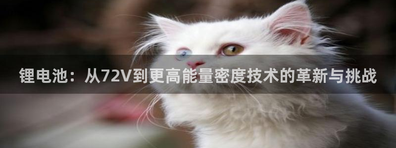 okpay钱包最新下载地址