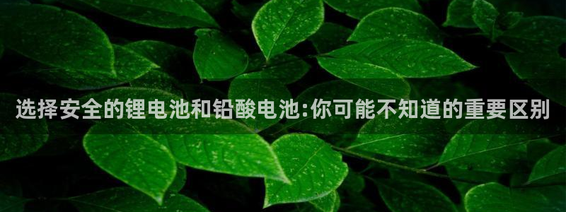 okpay钱包买币全过程