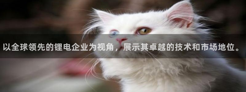 下载okpay钱包