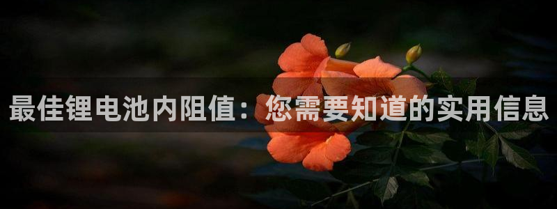 okpay钱包怎么下载