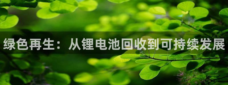 okpay支付钱包下载最新