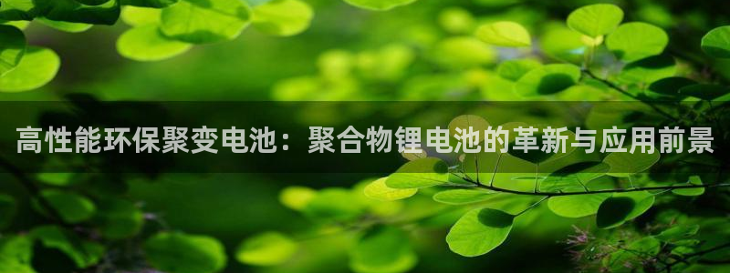 gopay及okpay钱包