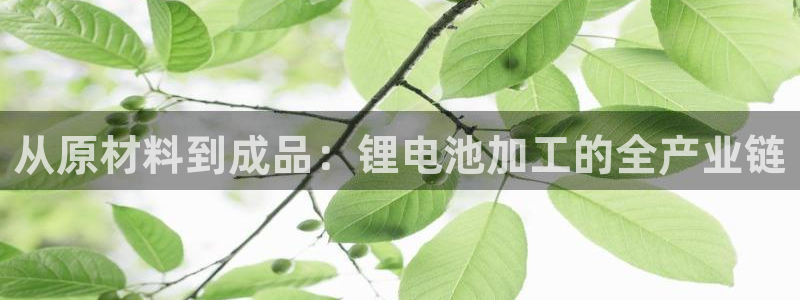 okpay钱包好用吗