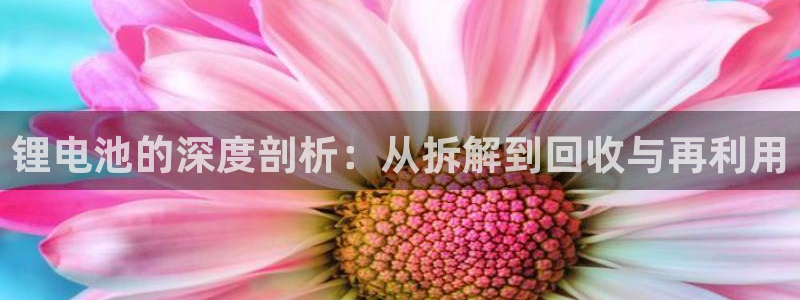 okpay钱包提现教程