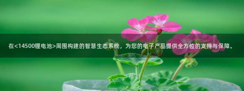 okpay钱包是什么