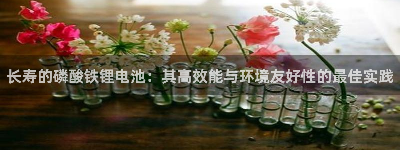 okpay钱包官网
