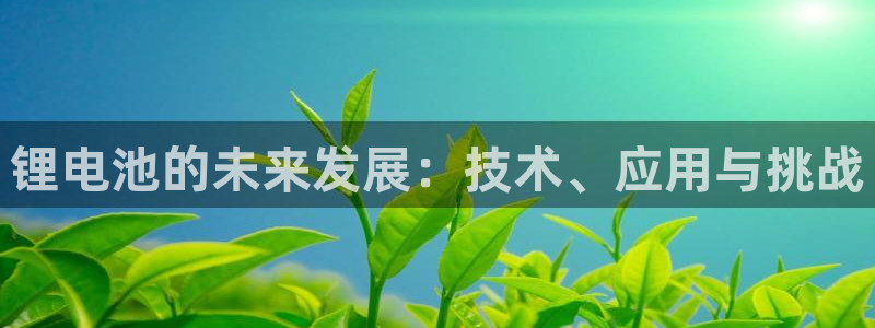 okpay钱包是正规平台吗
