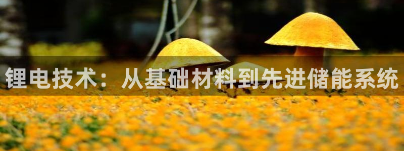 okpay钱包下载安卓版