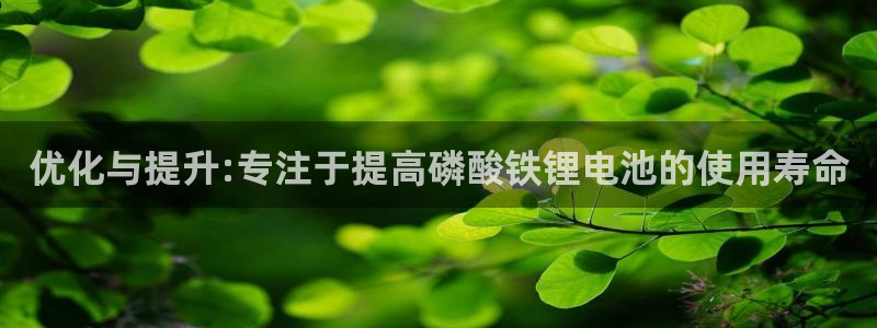 okpay钱包官网入口
