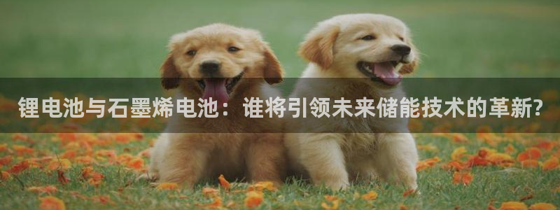 okpay钱包怎么充值