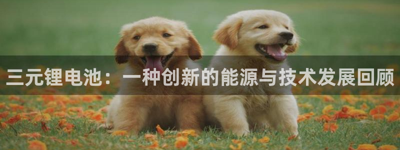 okpay钱包最新版下载