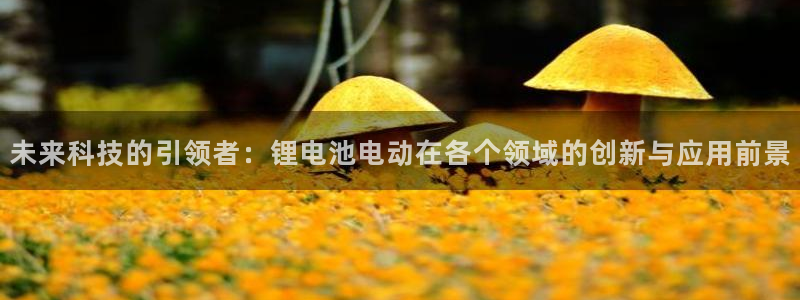 okpay钱包是干嘛的合法吗