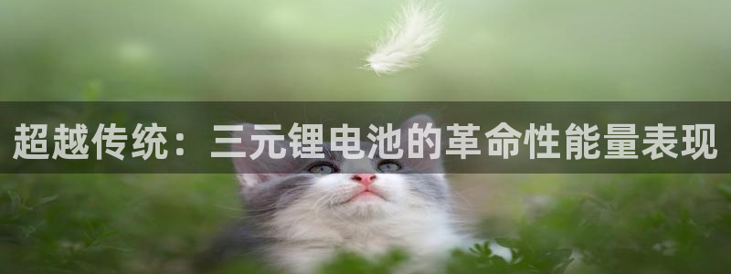 okpay数字钱包