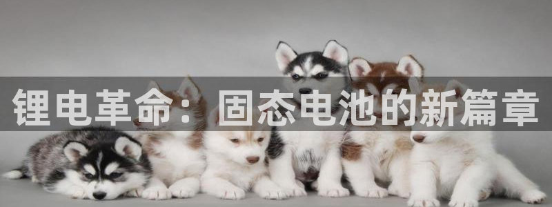 okpay钱包链接