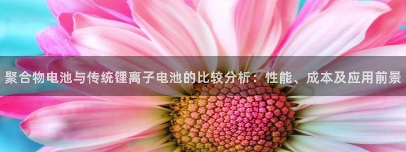 okpay钱包安全吗