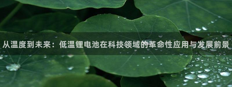 okpay钱包实名认证有风险吗