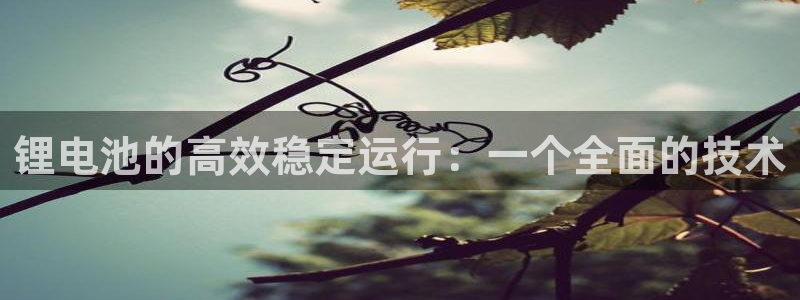okpay钱包地址在哪里