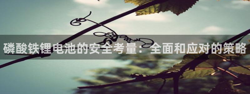okpay钱包是哪个国家的